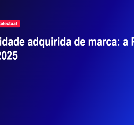 distintividade adquirida de marca de palavra comum no INPI