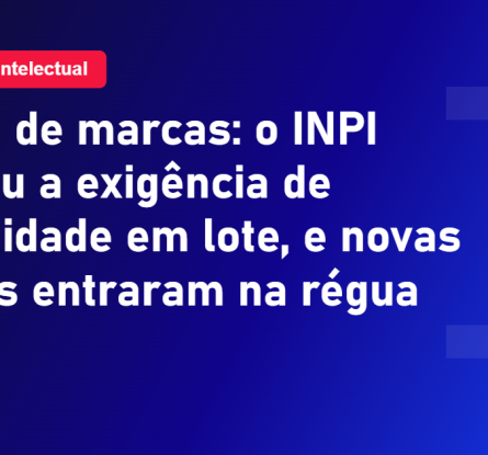 Exame de marcas do INPI e a exigencia de legitimidade em lote por classe